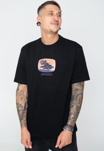 Carhartt WIP – Seeds Black – T-Shirt – Schwarz – M – 100% Baumwolle