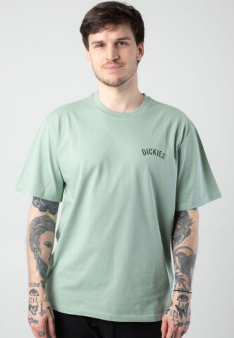 Dickies – Dickies Snake Iceberg Green – T-Shirt – Grün – M – 100% Baumwolle