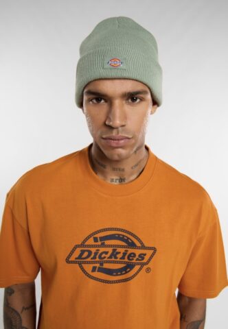 Dickies – Gibsland Sea Spray – Beanie – Grün – Onesize – 100% Polyacryl