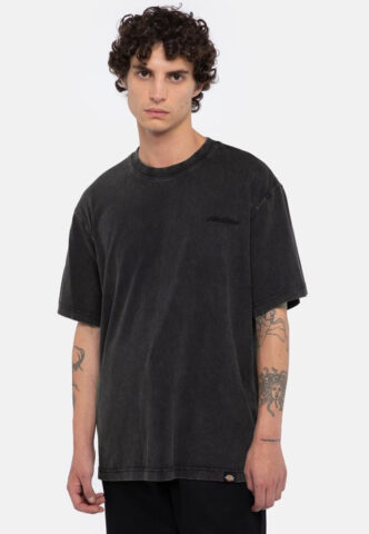 Dickies – Plentywood Dble Dye/Acd Black – T-Shirt – Schwarz – S – 100% Baumwolle