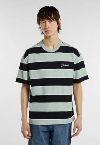 Dickies – Embroidery Stripe Jadeite – T-Shirt – Grün – XXL – 100% Baumwolle