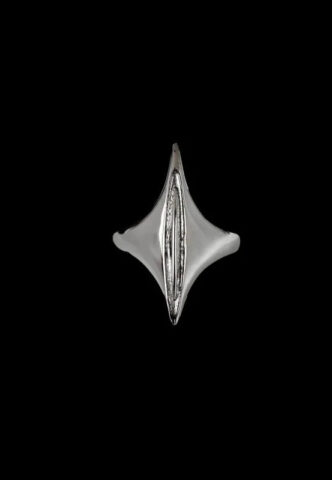 Fainz – Sauron Silver – Ring – gid://shopify/Metaobject/123897774317 – 18 mm – Rostfreier Stahl