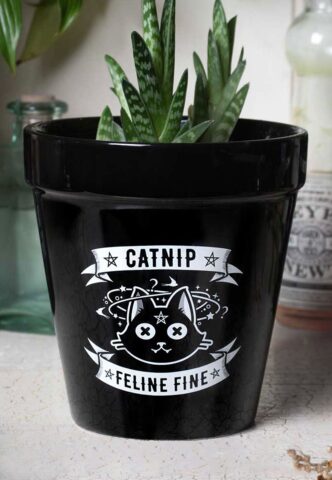 Alchemy England – Catnip – Blumentopf – Schwarz – Onesize – Keramik