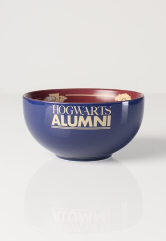 Harry Potter – Hogwarts Alumni – Schüssel – Mehrfarbig – Onesize – Keramik
