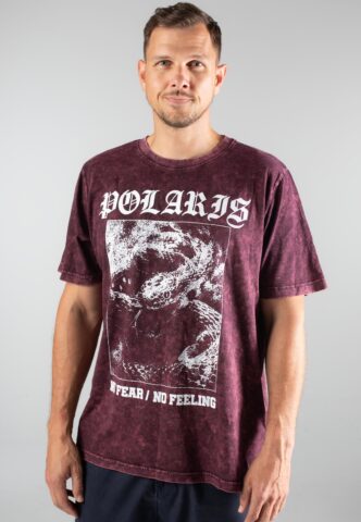 Polaris – Snake No Fear Berry Black Acid Washed – T-Shirt – Schwarz – L – 100% Baumwolle