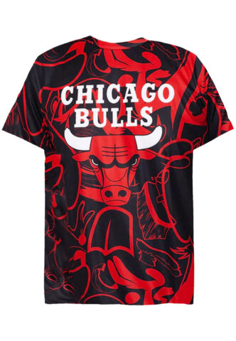 Space Jam – Chicago Bulls: Team In The Paint Red – T-Shirt – Rot – XL – 100% Polyester