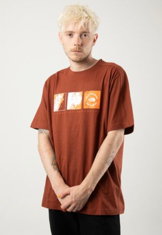 The North Face – Outdoor Brandy Brown – T-Shirt – Braun – L – 100% Baumwolle